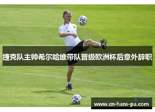 捷克队主帅希尔哈维带队晋级欧洲杯后意外辞职 捷克队主帅希尔哈维带队晋级欧洲杯后意外辞职